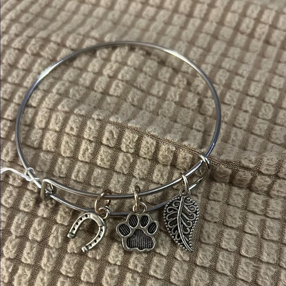 Silver Charm Bracelet for Pet Lovers